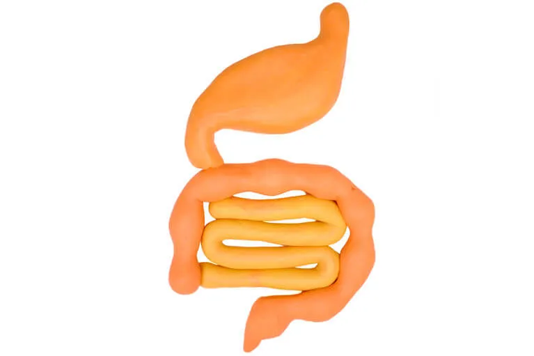 消化器内科とは